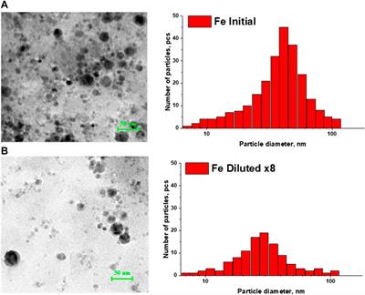 Influence of the Concentration of Fe and Cu Nanoparticles on the Dynamics of the Size Distribution of Nanoparticles